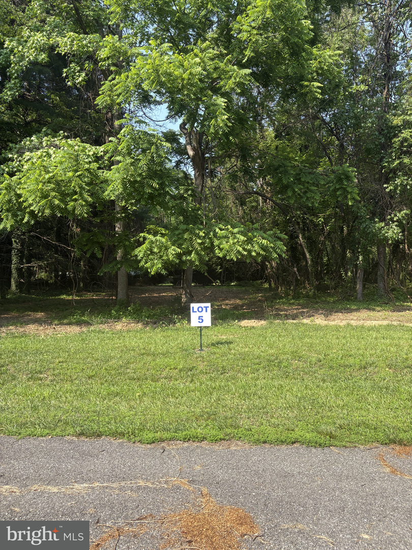 5 Wilson Point Rd, Galena, MD 21635 - #1