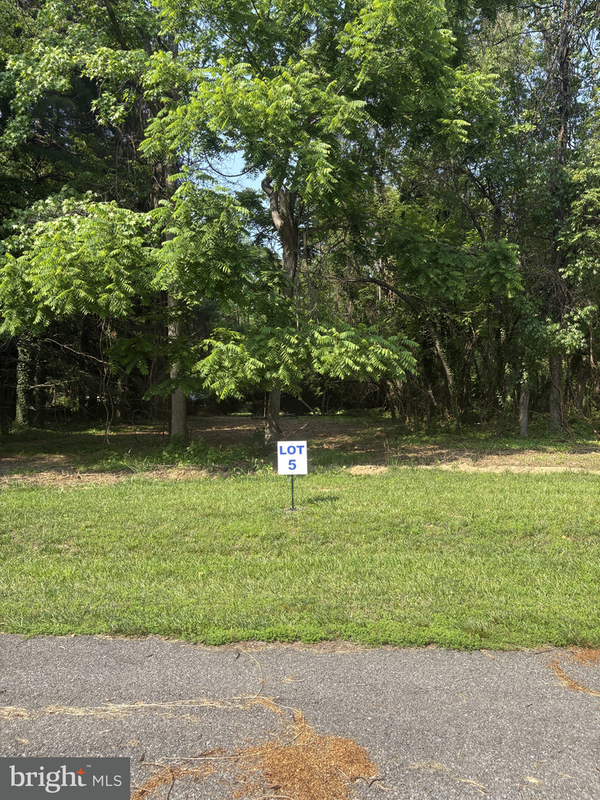 5 Wilson Point Rd, GALENA, MD 21635