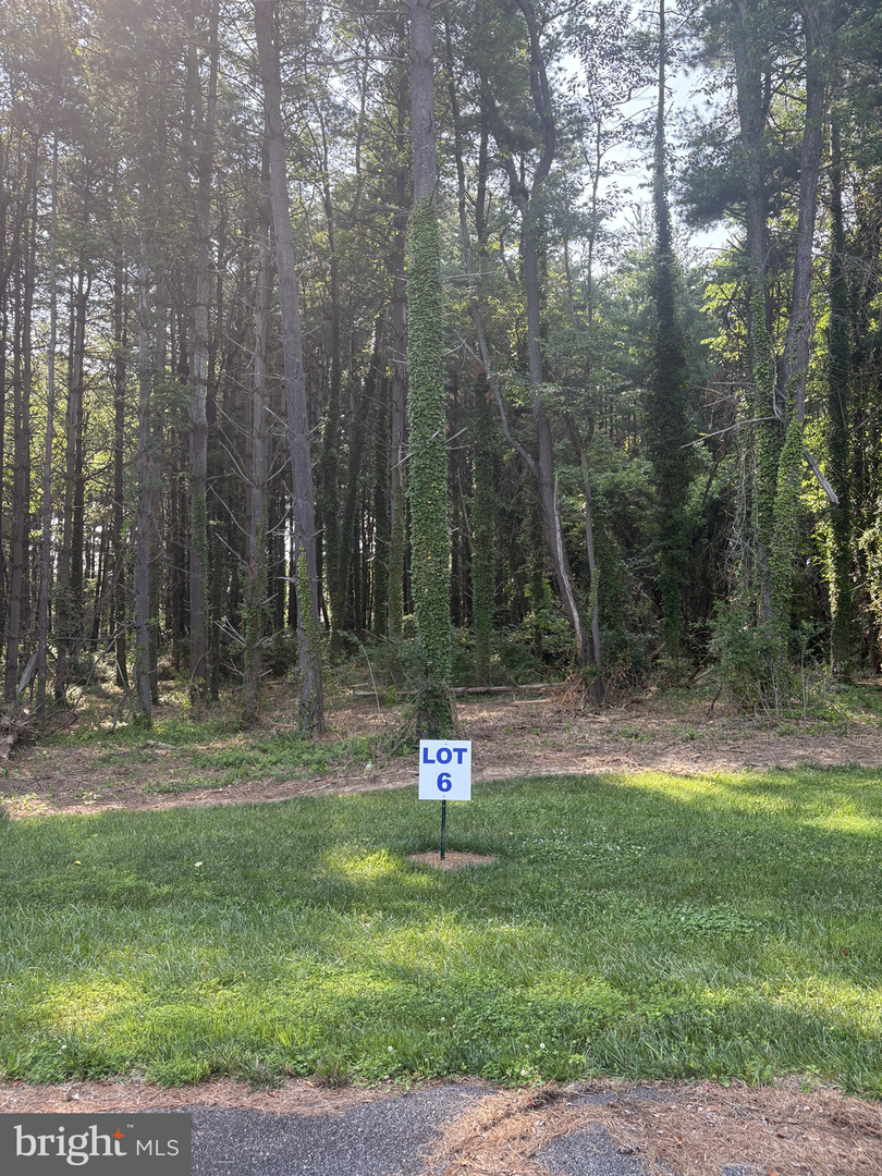 6 Wilson Point Rd, Galena, MD 21635 - #1