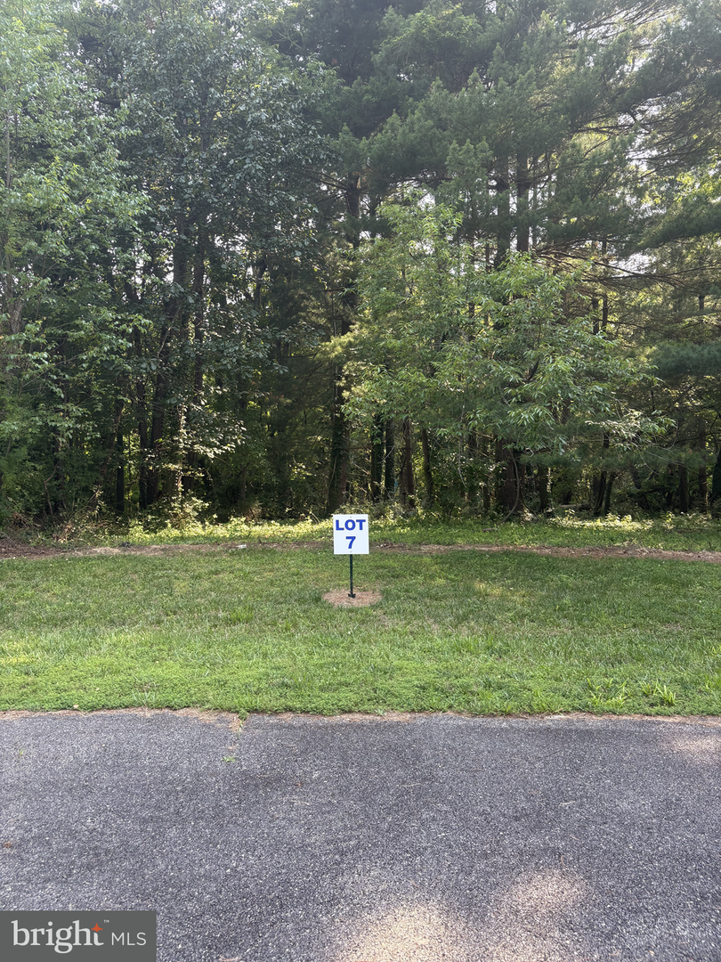 7 Wilson Point Rd, Galena, MD 21635 - #1