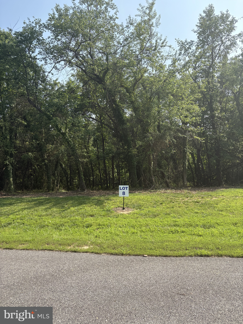 8 Wilson Point Rd, Galena, MD 21635 - #1