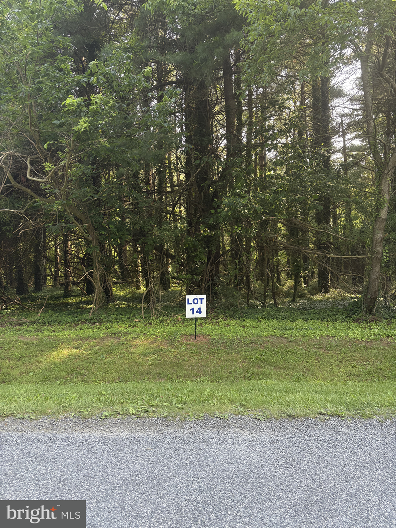 14 Wilson Point Rd, Galena, MD 21635 - #1