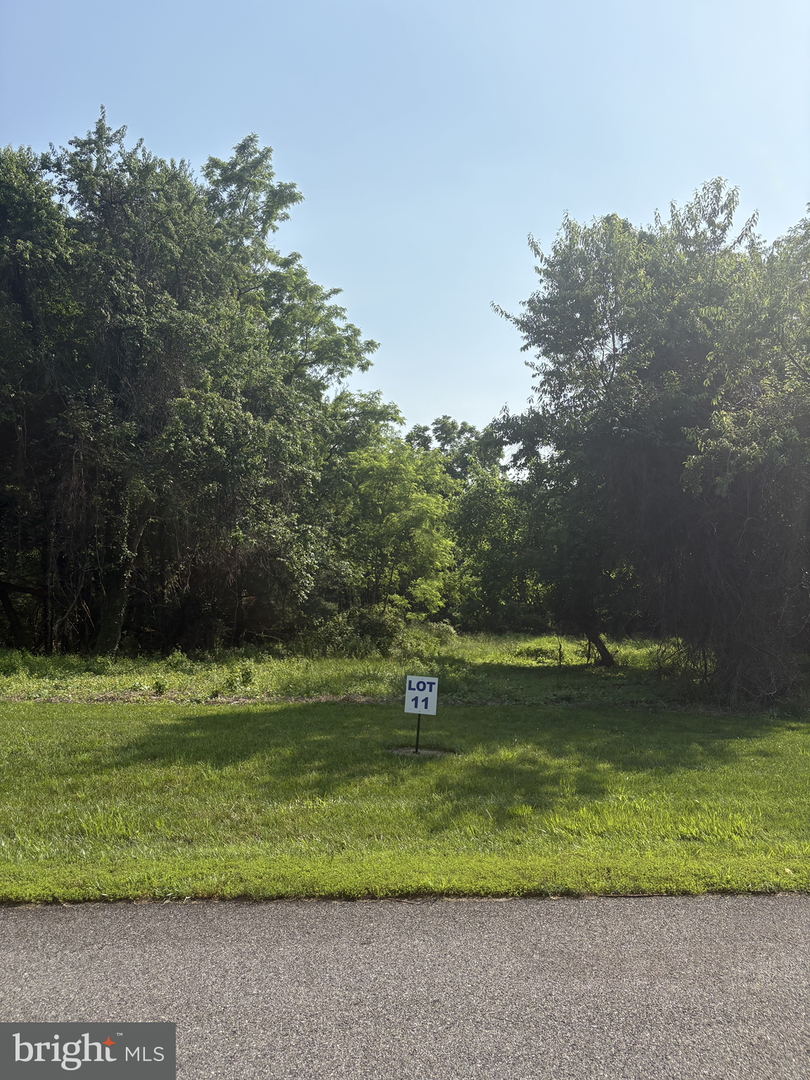 11 Wilson Point Rd, Galena, MD 21635 - #1