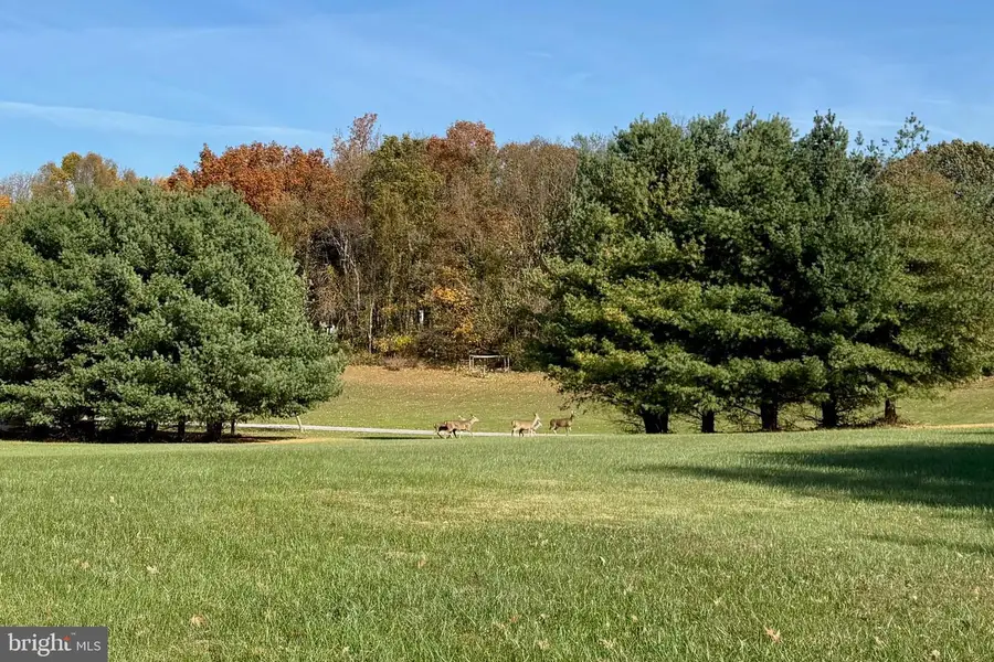 Still Pond Creek Rd, Worton, MD 21678 - Image #2