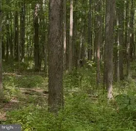 8886 Georgetown Rd, Chestertown, MD 21620 - #2
