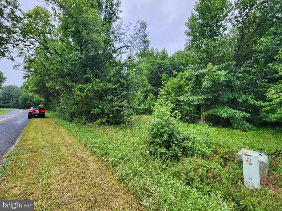 34155 Bradford Johnson Rd, Galena, MD 21635 - #3