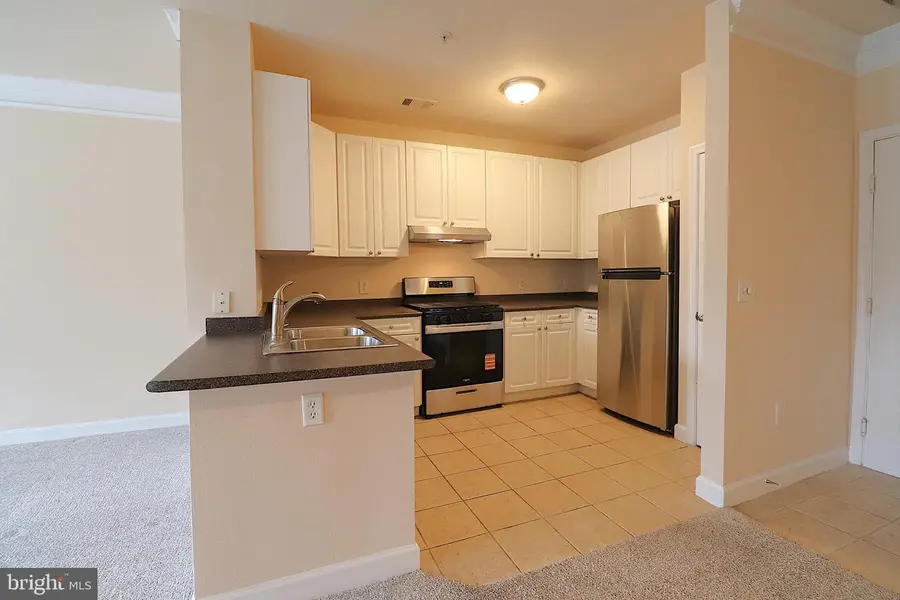 501 Hungerford Dr #137, Rockville, MD 20850 - Image #3