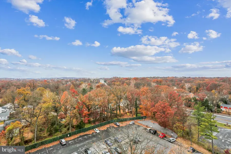 7333 New Hampshire Ave #1217, Takoma Park, MD 20912 - Image #2