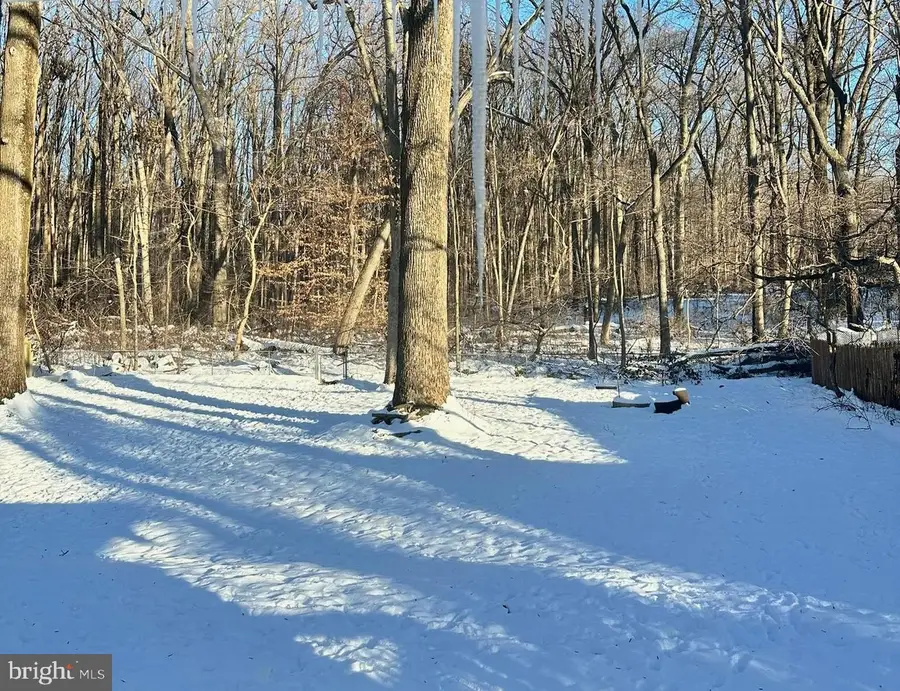 1821 Arcola Ave, Silver Spring, MD 20902 - Image #3