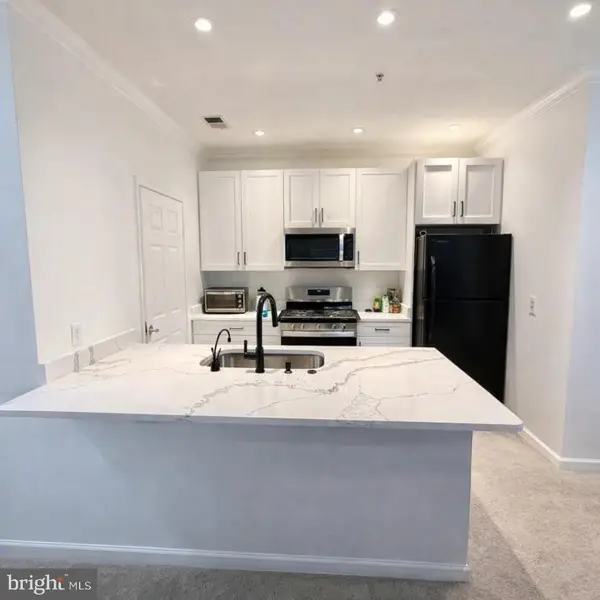 19623 Galway Bay Cir #202, GERMANTOWN, MD 20874