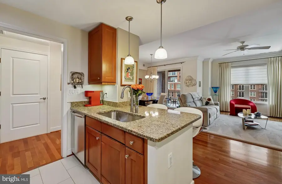 12500 Park Potomac Ave #809 North, Potomac, MD 20854 - #3