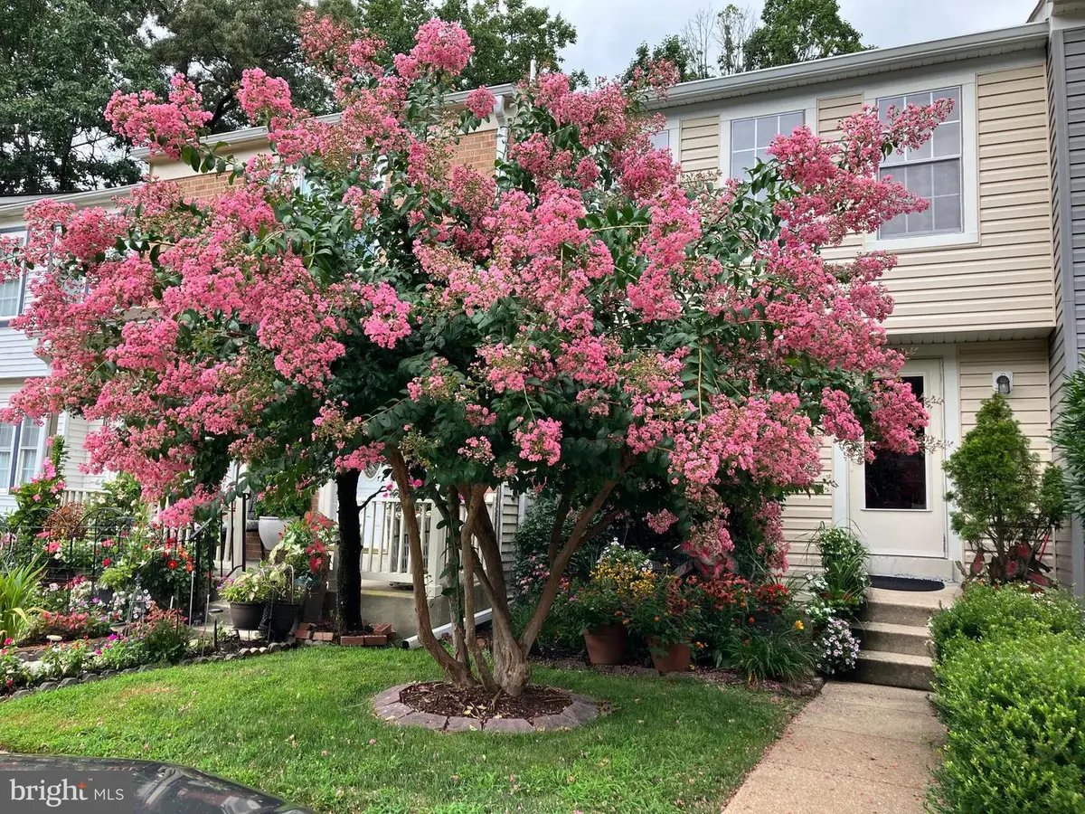 32 Long Green Ct, Silver Spring, MD 20906 - #1