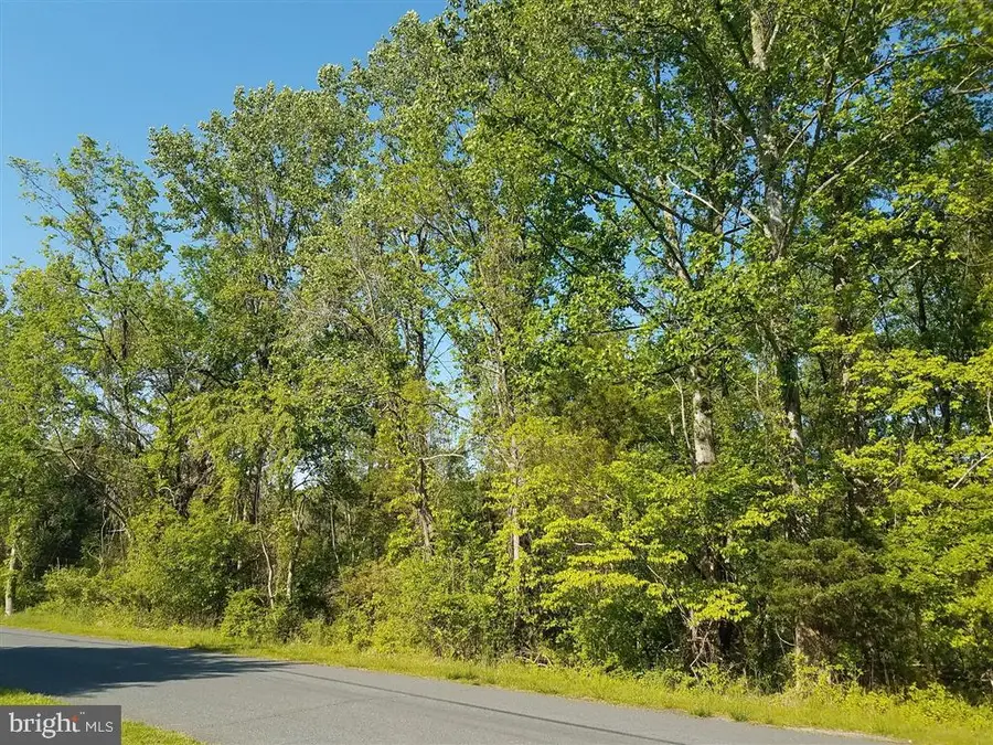 13101 Valley Dr, Rockville, MD 20850 - #3