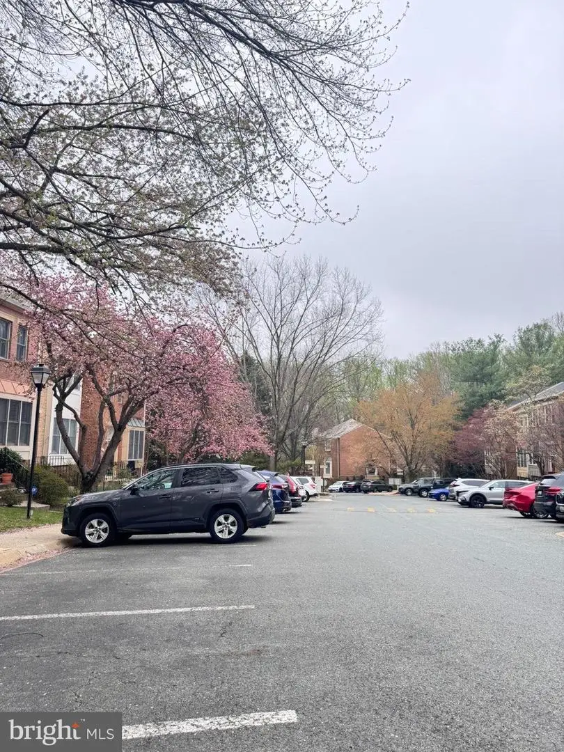 4815 Cloister, Rockville, MD 20852 - #2