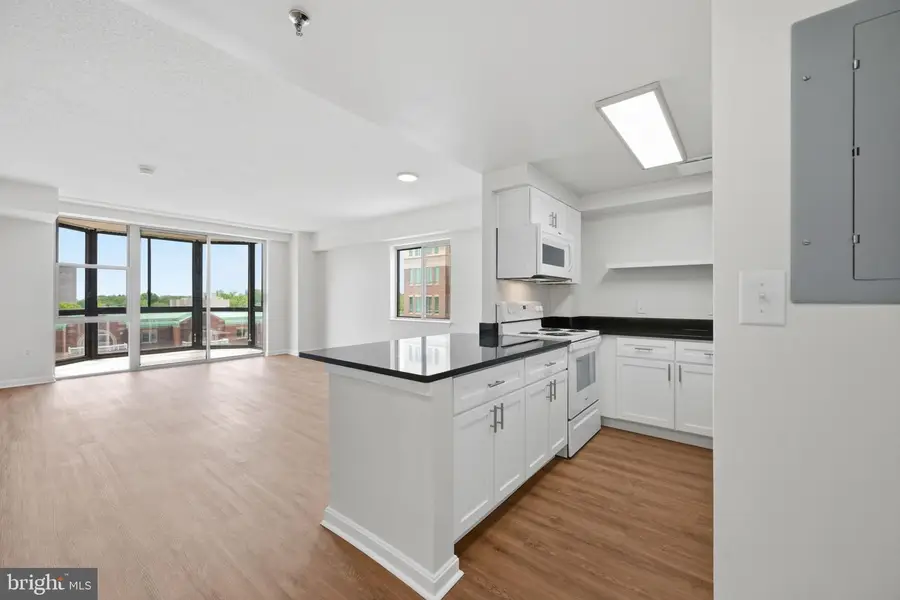 24 Courthouse Sq #603, Rockville, MD 20850 - #2