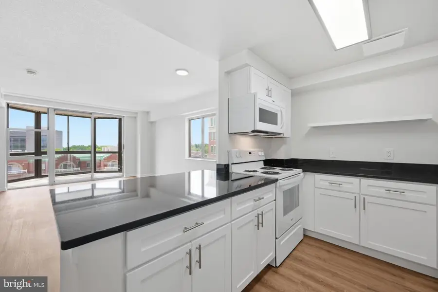 24 Courthouse Sq #603, Rockville, MD 20850 - #3