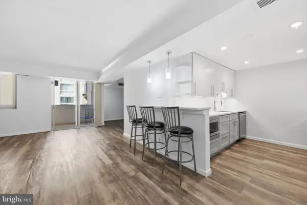 4601 N Park Ave #1120-v, CHEVY CHASE, MD 20815