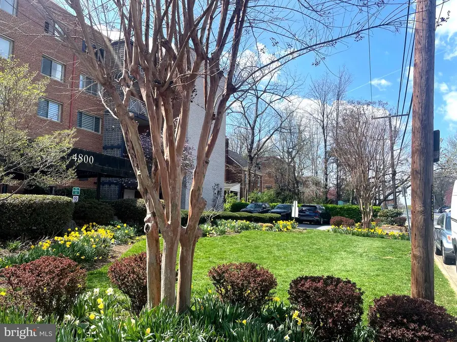 4800 Chevy Chase Dr #508, Chevy Chase, MD 20815 - #3