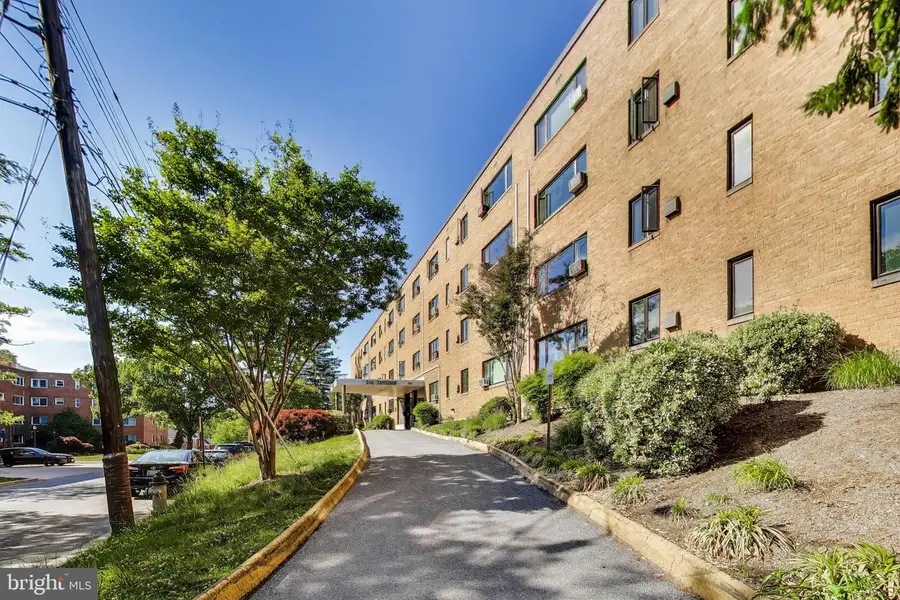 111 Lee Ave #110, Takoma Park, MD 20912 - #3