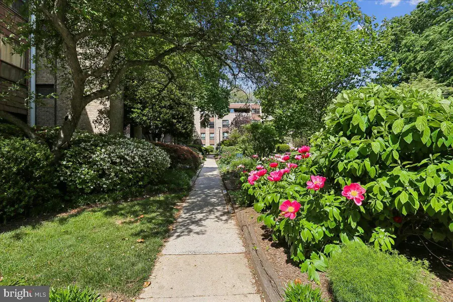 403 Christopher Ave #33, Gaithersburg, MD 20879 - #2