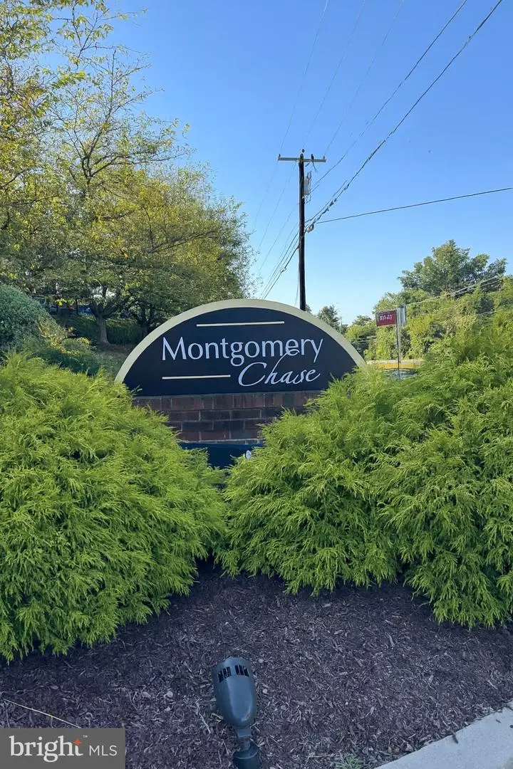 4075 Chesterwood Dr #4075, Silver Spring, MD 20906 - #2