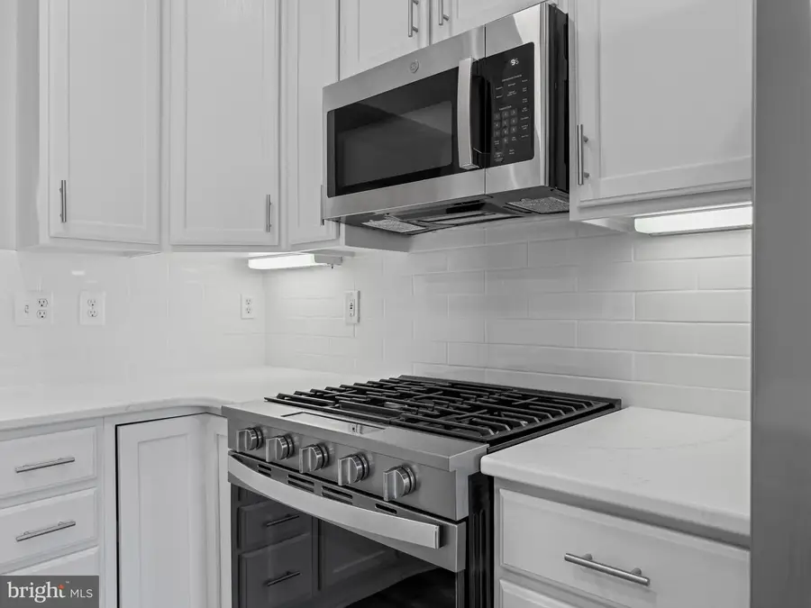 24 Case Mews, Gaithersburg, MD 20878 - #2