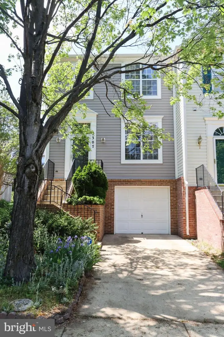 2307 Massanutten Dr, Silver Spring, MD 20906 - #3