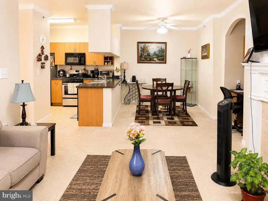 13503 Kildare Hills Ter #404, Germantown, MD 20874 - #3