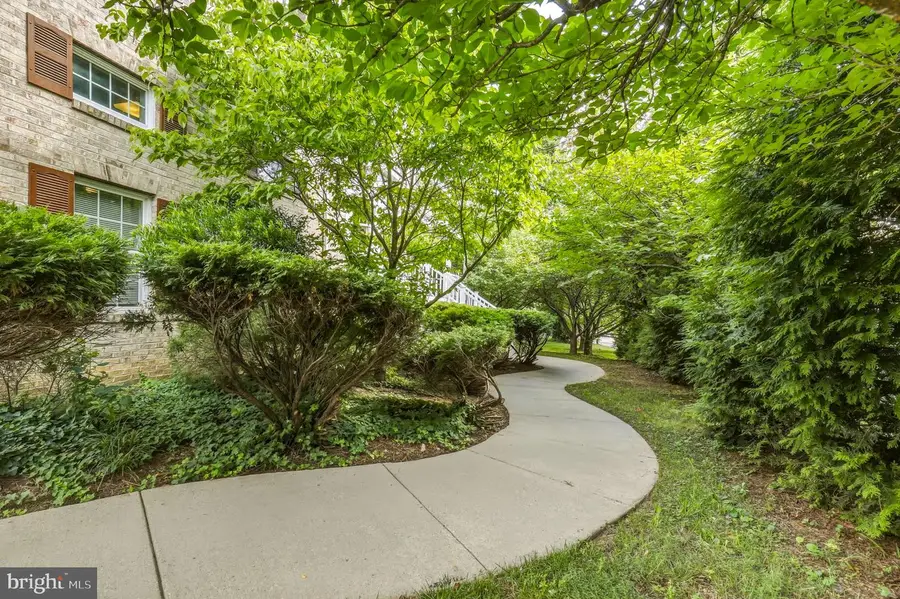 203 1st St, Rockville, MD 20851 - #2