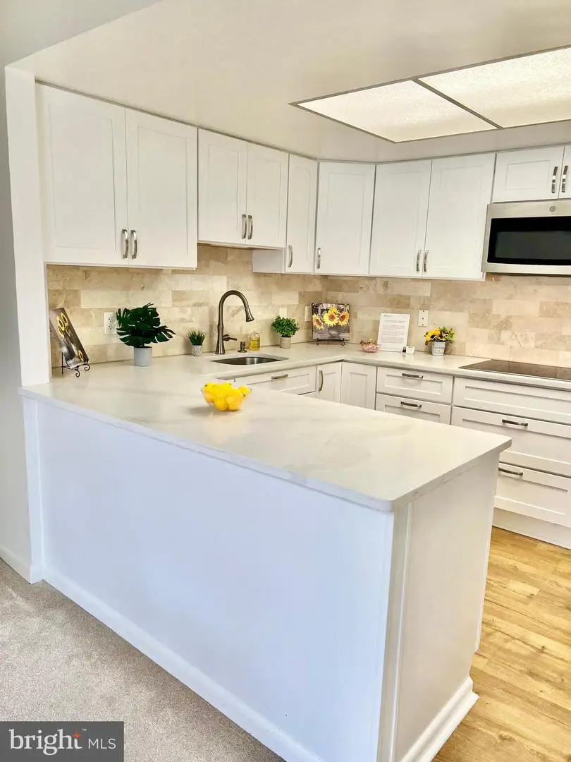 3466 Chiswick Ct #43-2a, Silver Spring, MD 20906 - #2