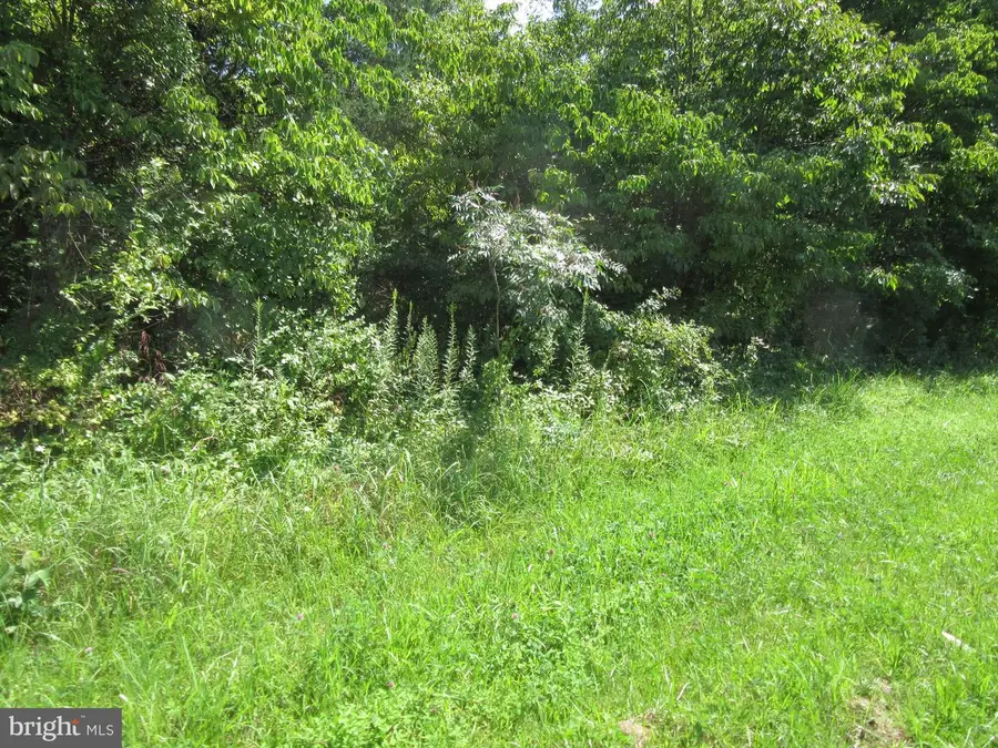 Columbia Pike, Burtonsville, MD 20866 - #3
