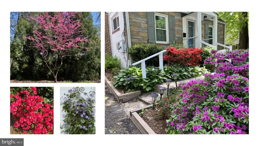 9807 Gardiner Ave, Silver Spring, MD 20902 - #3