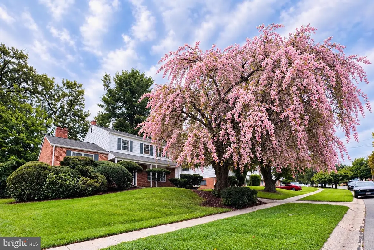 900 Lamberton Dr, Silver Spring, MD 20902 - #1