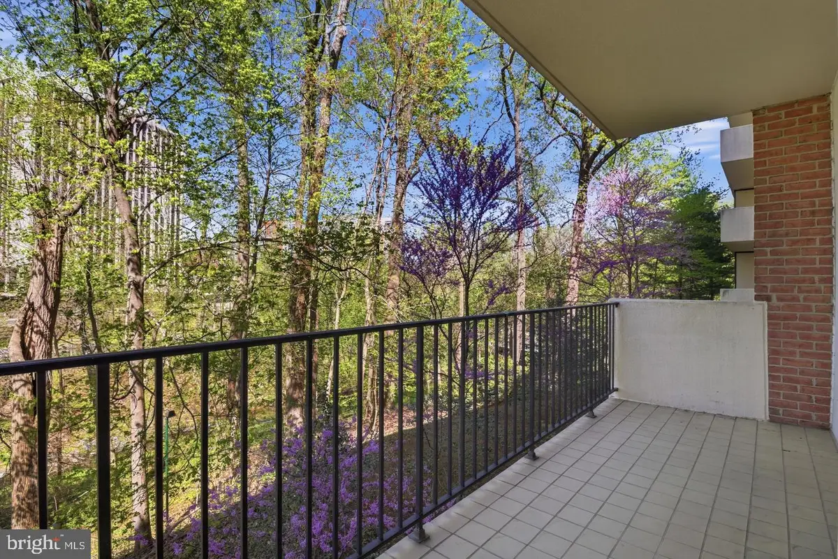 8101 Connecticut Ave #n-304, Chevy Chase, MD 20815 - #1