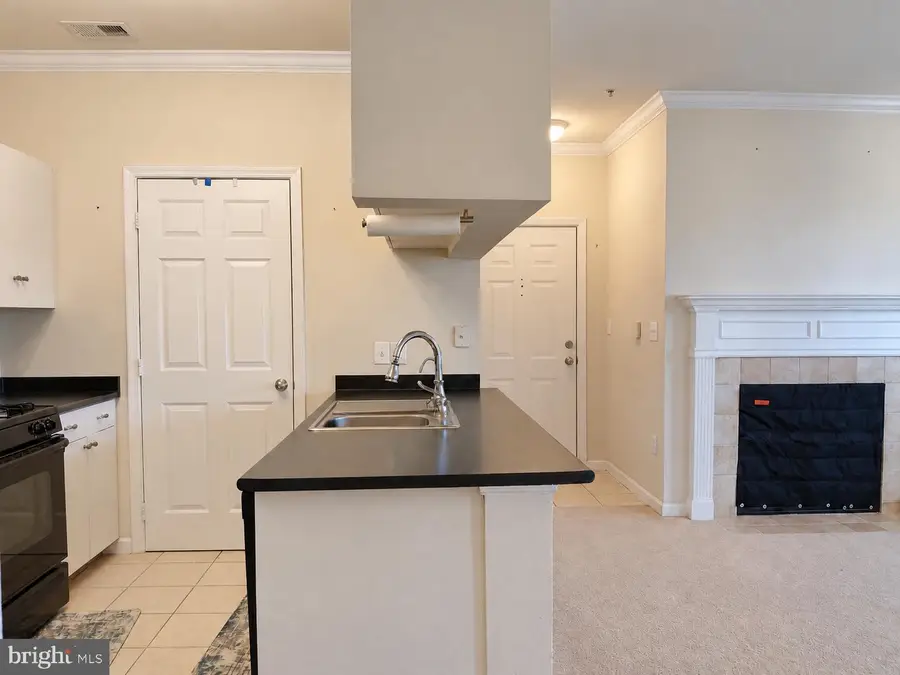 19605 Galway Bay Cir #301, Germantown, MD 20874 - #3