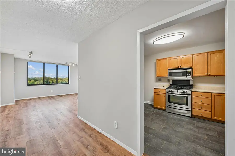 5225 Pooks Hill Rd #1328n, Bethesda, MD 20814 - #3