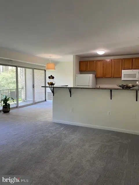 12215 Braxfield Ct #110, Rockville, MD 20852 - #3