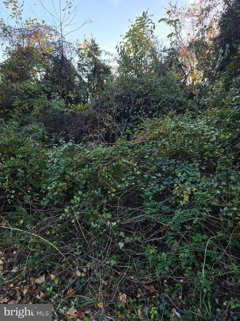 8824 Old Laurel Bowie Rd, Bowie, MD 20720 - Image #2