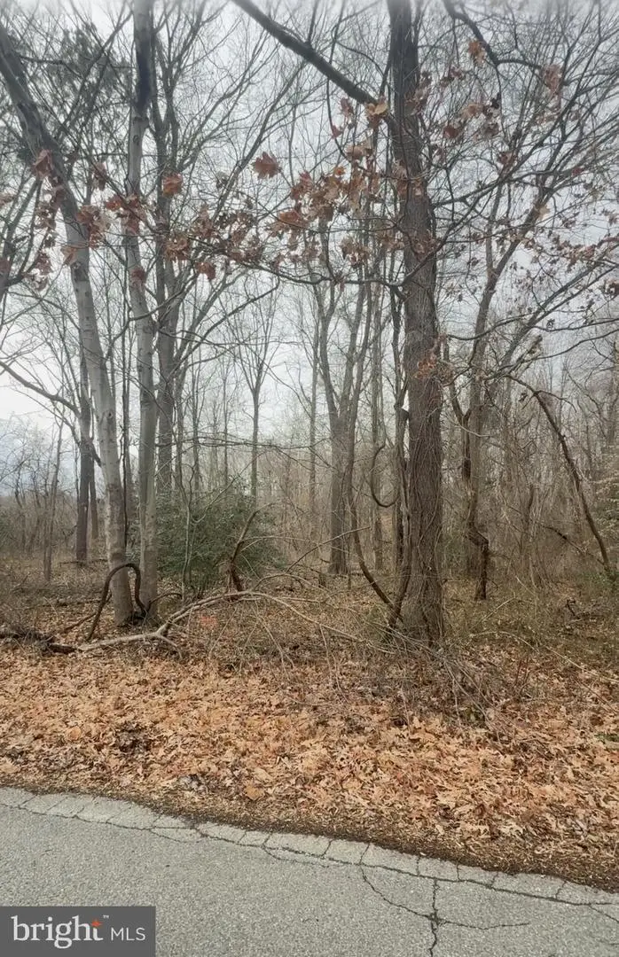 23000 Frederick Douglas Ave, Aquasco, MD 20608 - Image #2