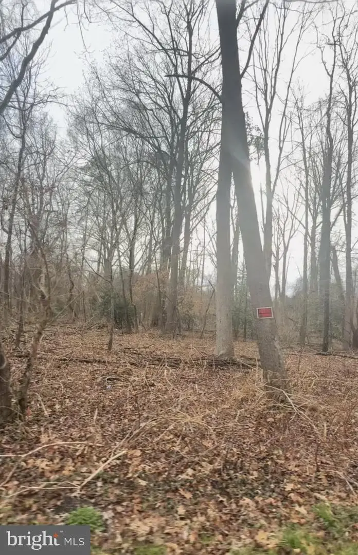 23000 Frederick Douglas Ave, Aquasco, MD 20608 - Image #3