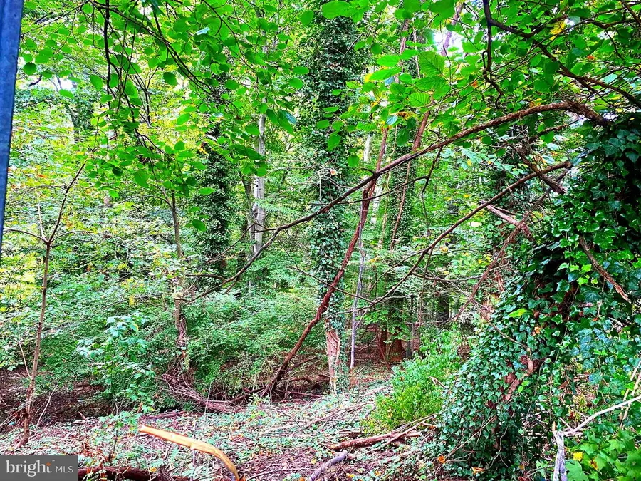 Springwood Dr, Temple Hills, MD 20748 - #2