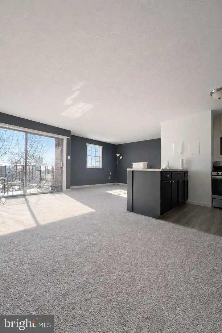 4423 Romlon St #202, Beltsville, MD 20705 - #3