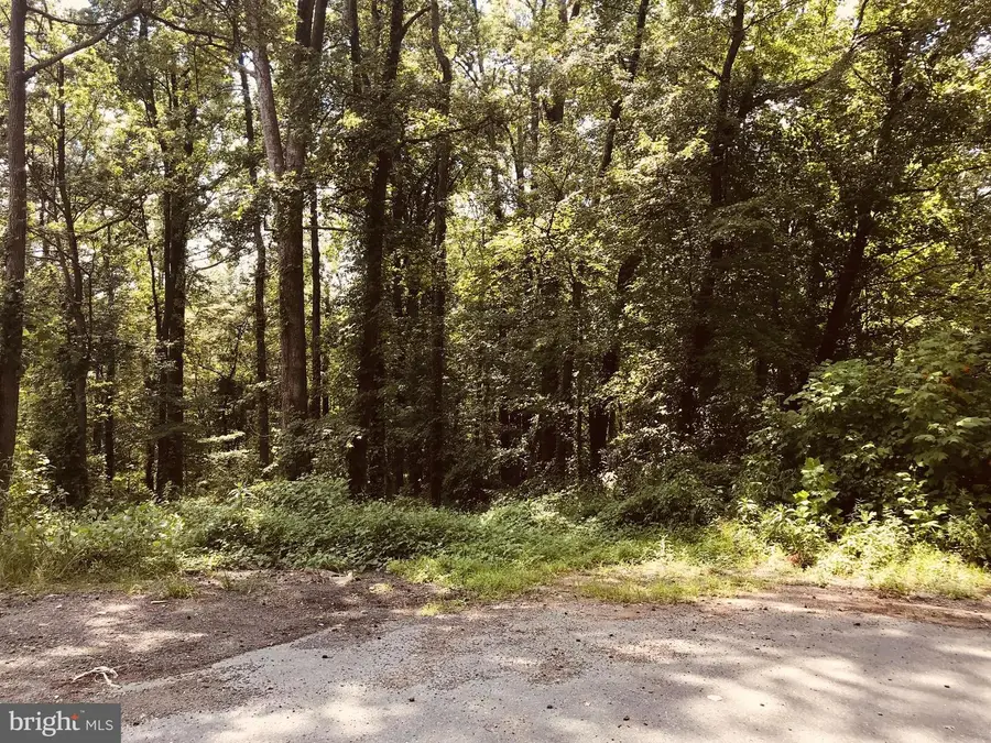 6815 1st St, Riverdale, MD 20737 - #2