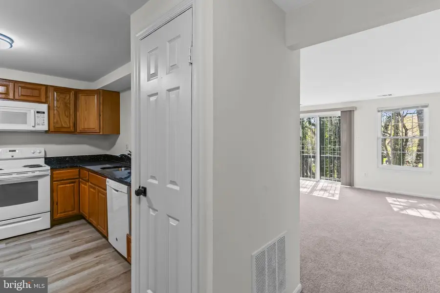 246 Red Jade Dr #13-5, Upper Marlboro, MD 20774 - #3