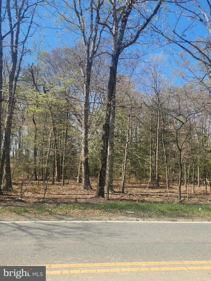 Tower Rd, Brandywine, MD 20613 - #2