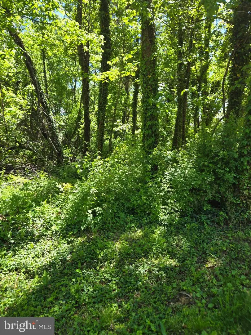 16301 Lea Dr, Bowie, MD 20715 - #3