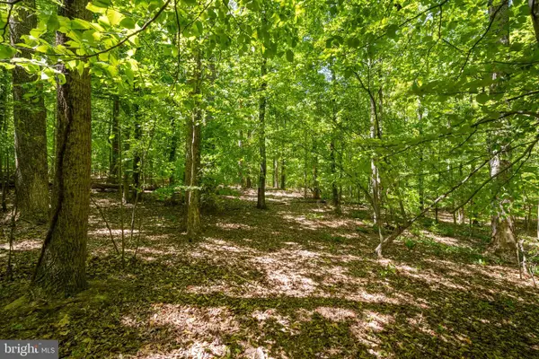Letcher Rd E, BRANDYWINE, MD 20613