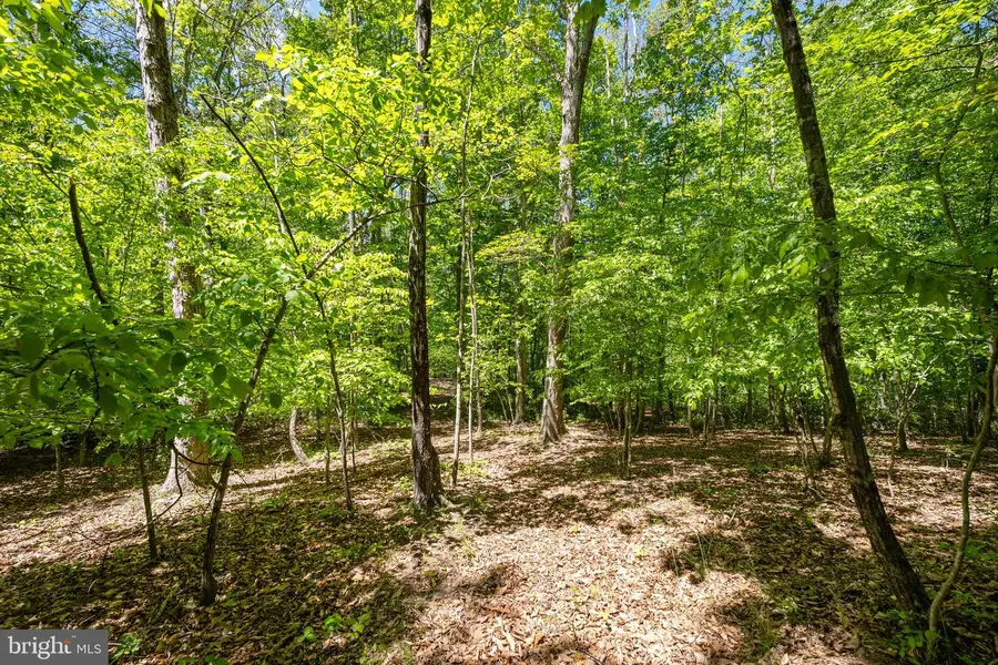 Letcher Rd E, Brandywine, MD 20613 - #3