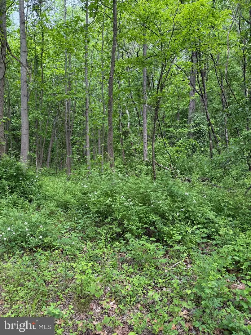 Hideout Ln, Bowie, MD 20716 - #2