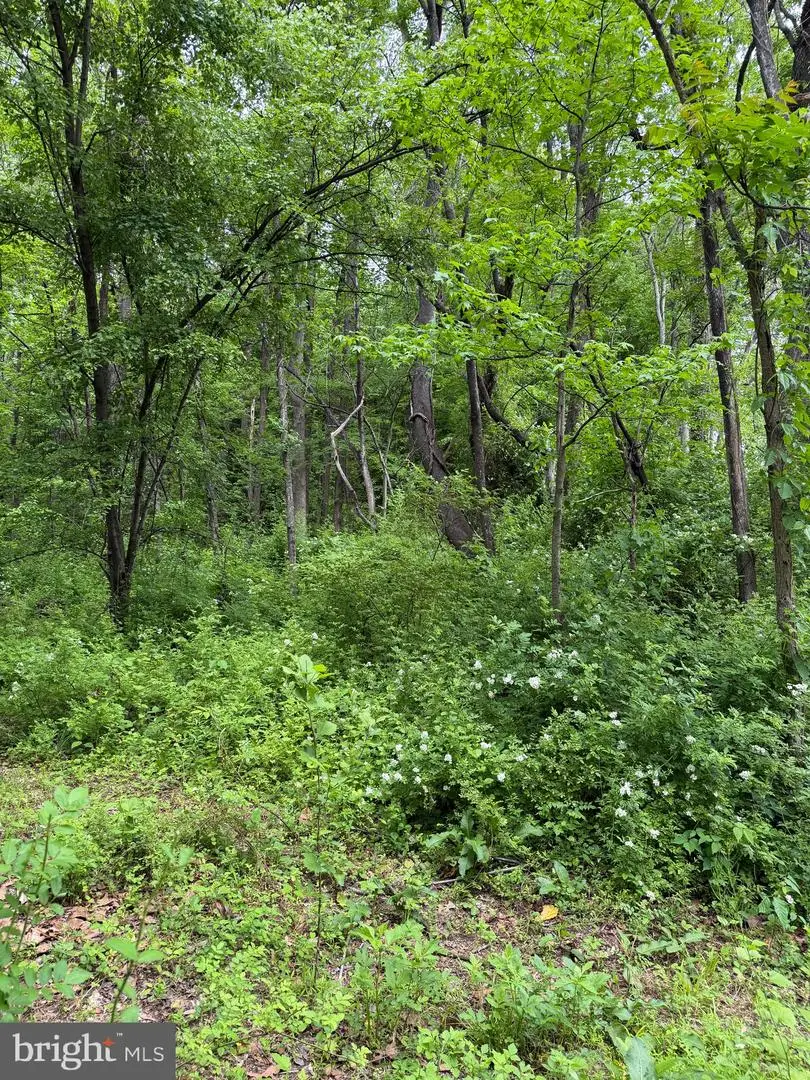 Hideout Ln, Bowie, MD 20716 - #3